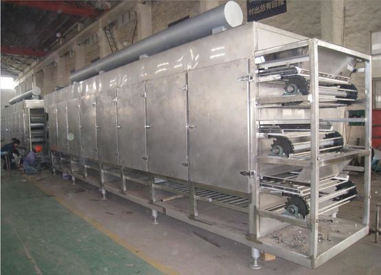 DWG-Reihen-mehrschichtiges Heißluft-Förderband Oven For Onion/Ingwer