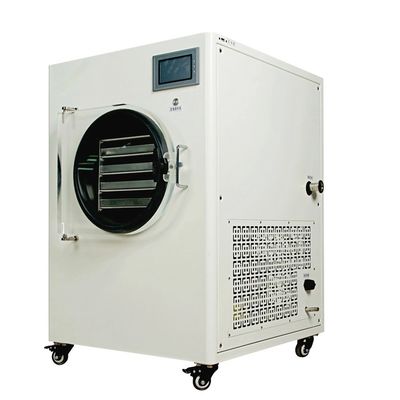 Vakuumfrost-Trockner-Maschinen-elektrischer Heizungssublimations-Trockner für Gemüse
